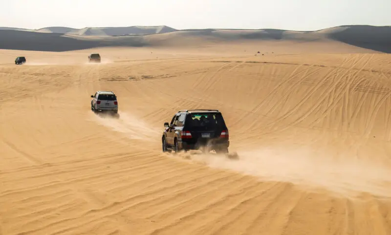 دفتر الزوار في واحة سيوة