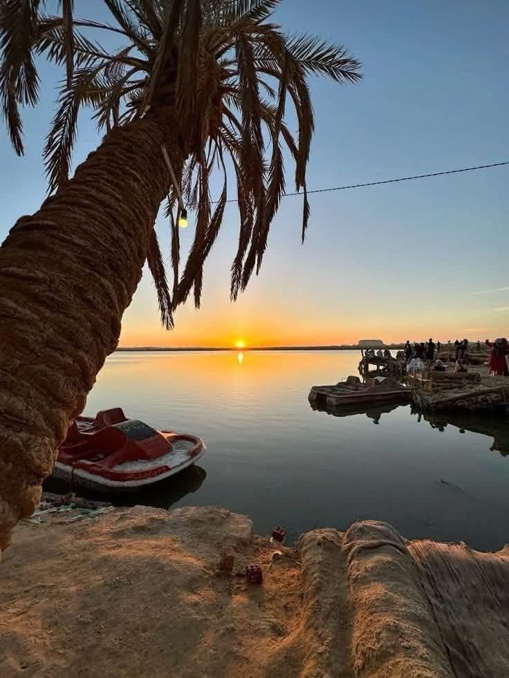 الخدمات في واحة سيوة