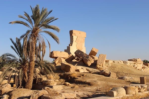 نخيل وبقايا قلعة تاريخية في واحة سيوة